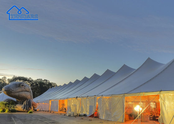 Lujo tamaño personalizado tienda de campaña de recepción al aire libre para eventos, bodas, fiestas, exposiciones, etc.